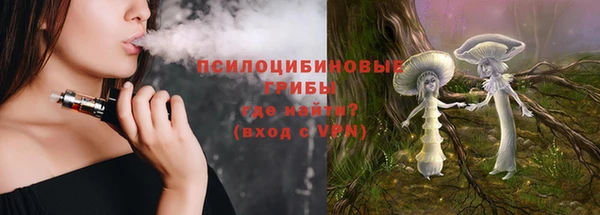хмурый Зеленокумск