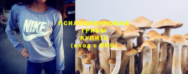 хмурый Зеленокумск