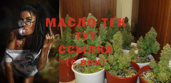 хмурый Зеленокумск