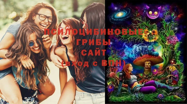 хмурый Зеленокумск