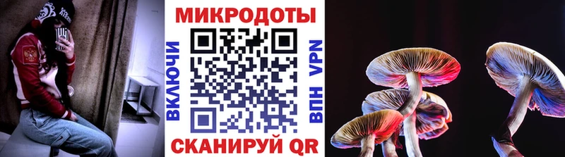 Галлюциногенные грибы мицелий  Купить закладки  Дальнереченск 